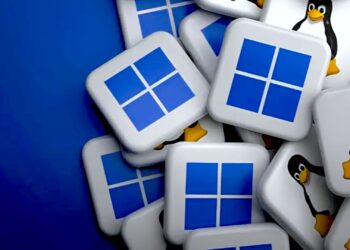 Zukunft des Linux Gamings nach dem Ende von Loki Software