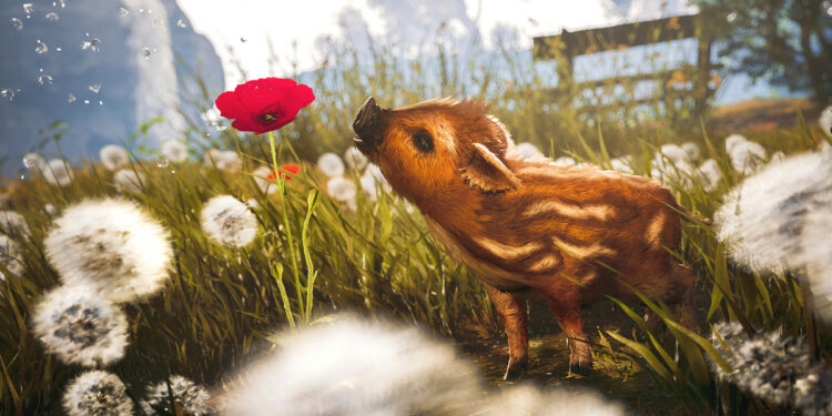 Erstes großes Update für Adorable Adventures veröffentlicht