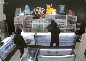 Pokemon-Raub-TCG