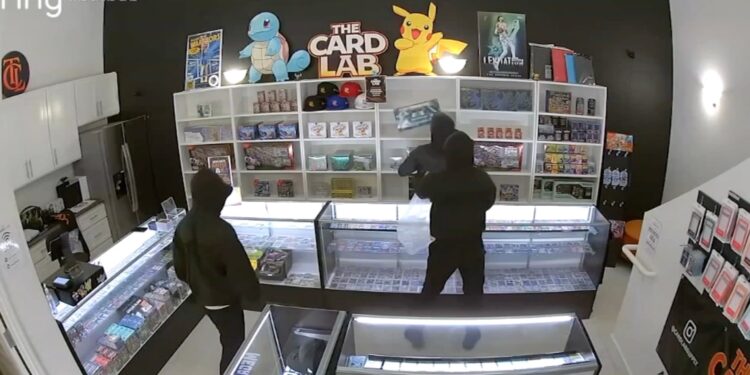 Pokemon-Raub-TCG